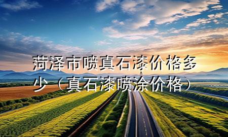 菏澤市噴真石漆價(jià)格多少（真石漆噴涂?jī)r(jià)格）