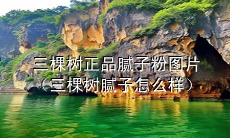 三棵樹(shù)正品膩?zhàn)臃蹐D片（三棵樹(shù)膩?zhàn)釉趺礃樱?>
             </div>
             <!--文章無(wú)圖的情況下插入一張圖片end-->
              
      <p>大家好，今天小編關(guān)注到一個(gè)比較有意思的話(huà)題，就是關(guān)于三棵樹(shù)正品膩?zhàn)臃蹐D片的問(wèn)題，于是小編就整理了1個(gè)相關(guān)介紹三棵樹(shù)正品膩?zhàn)臃蹐D片的解答，讓我們一起看看吧。</p><ol type=