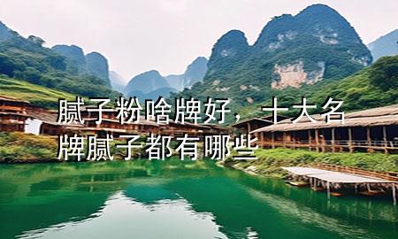 膩子粉啥牌好，十大名牌膩子都有哪些