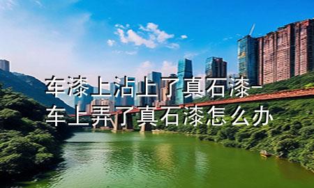 車(chē)漆上沾上了真石漆-車(chē)上弄了真石漆怎么辦