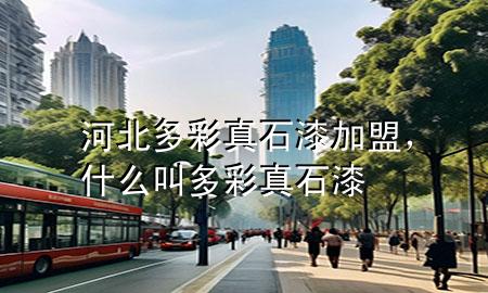 河北多彩真石漆加盟，什么叫多彩真石漆