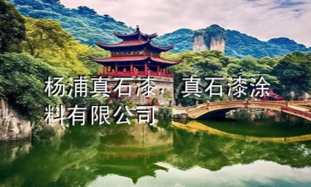 楊浦真石漆，真石漆涂料有限公司