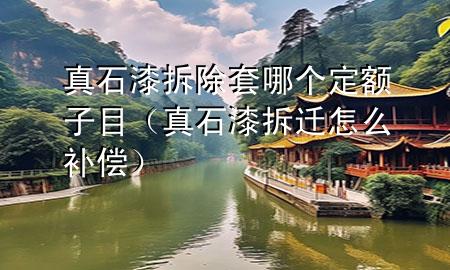 真石漆拆除套哪個定額子目（真石漆拆遷怎么補償）