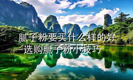 膩子粉要買什么樣的好-選購膩子粉小技巧