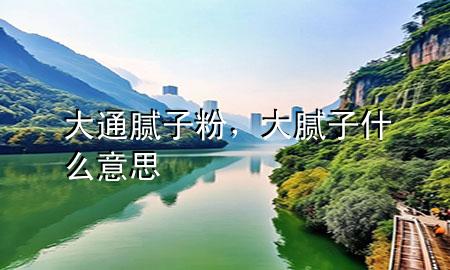 大通膩?zhàn)臃?，大膩?zhàn)邮裁匆馑?>
             </div>
             <!--文章無(wú)圖的情況下插入一張圖片end-->
              
      <p>大家好，今天小編關(guān)注到一個(gè)比較有意思的話題，就是關(guān)于大通膩?zhàn)臃鄣膯?wèn)題，于是小編就整理了1個(gè)相關(guān)介紹大通膩?zhàn)臃鄣慕獯?，讓我們一起看看吧?/p><ol type=