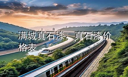 滿城真石漆，真石漆價格表