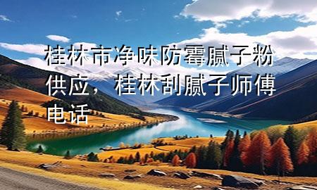 桂林市凈味防霉膩子粉供應(yīng)，桂林刮膩子師傅電話
