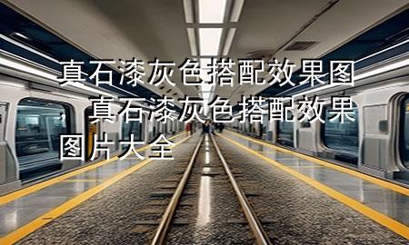 真石漆灰色搭配效果圖，真石漆灰色搭配效果圖片大全