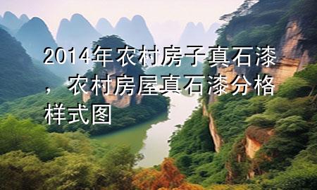 2014年農(nóng)村房子真石漆，農(nóng)村房屋真石漆分格樣式圖