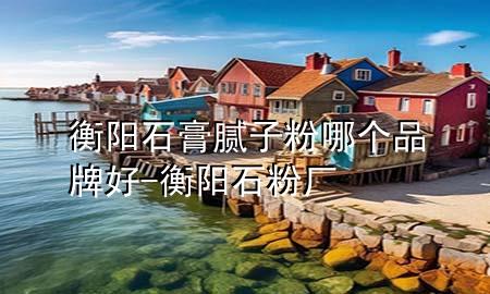 衡陽石膏膩?zhàn)臃勰膫€品牌好-衡陽石粉廠