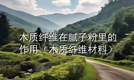 木質(zhì)纖維在膩子粉里的作用（木質(zhì)纖維材料）
