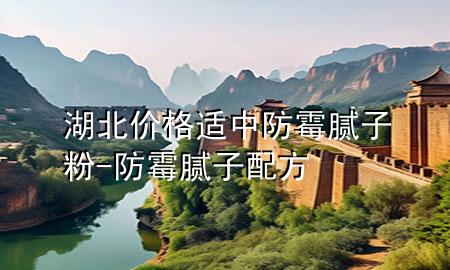 湖北價格適中防霉膩子粉-防霉膩子配方