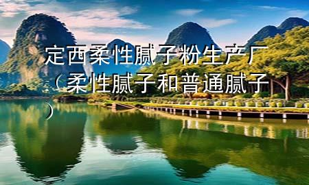 定西柔性膩子粉生產(chǎn)廠（柔性膩子和普通膩子）