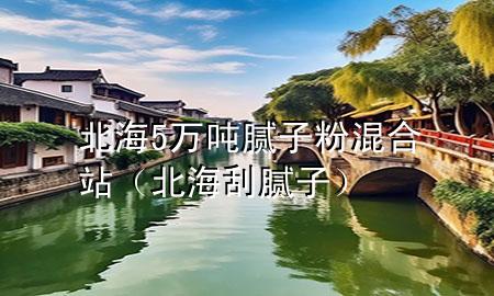 北海5萬噸膩子粉混合站（北海刮膩子）