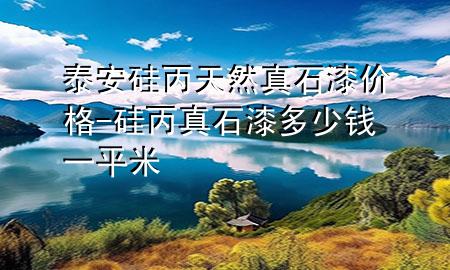 泰安硅丙天然真石漆價(jià)格-硅丙真石漆多少錢一平米