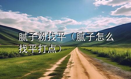 膩子粉 找平（膩子怎么找平打點）