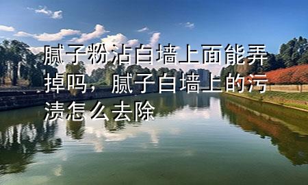 膩?zhàn)臃壅窗讐ι厦婺芘魡幔佔(zhàn)影讐ι系奈蹪n怎么去除