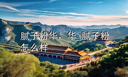膩子粉華，華_膩子粉怎么樣