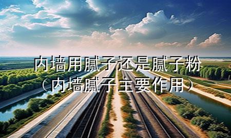 內墻用膩子還是膩子粉（內墻膩子主要作用）