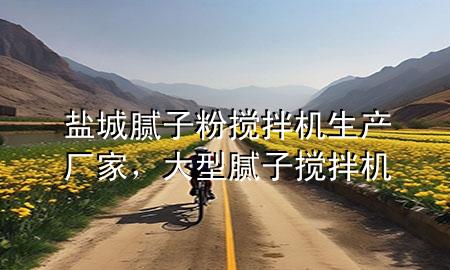 鹽城膩?zhàn)臃蹟嚢铏C(jī)生產(chǎn)廠家，大型膩?zhàn)訑嚢铏C(jī)