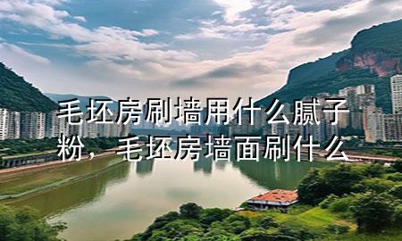 毛坯房刷墻用什么膩子粉，毛坯房墻面刷什么
