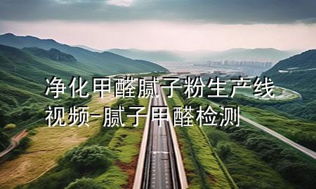 凈化甲醛膩?zhàn)臃凵a(chǎn)線視頻-膩?zhàn)蛹兹z測