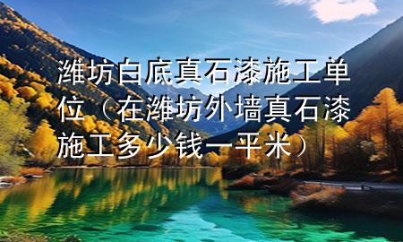 濰坊白底真石漆施工單位（在濰坊外墻真石漆施工多少錢一平米）