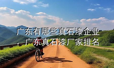廣東有哪些真石漆企業(yè)，廣東真石漆廠家排名