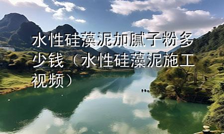 水性硅藻泥加膩子粉多少錢（水性硅藻泥施工視頻）
