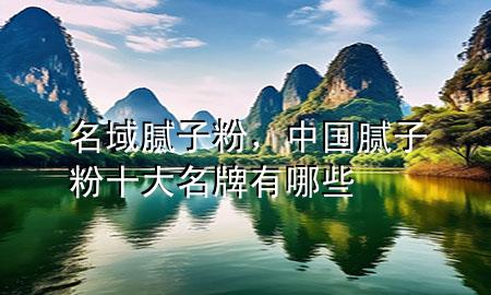 名域膩子粉，中國膩子粉十大名牌有哪些
