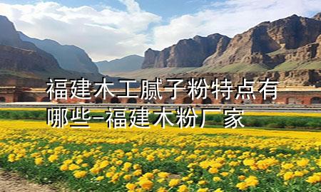 福建木工膩子粉特點(diǎn)有哪些-福建木粉廠家