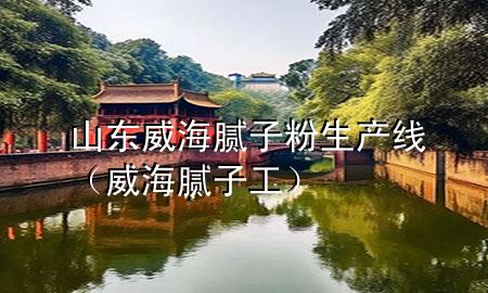 山東威海膩子粉生產(chǎn)線（威海膩子工）