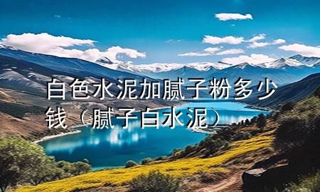 白色水泥加膩子粉多少錢（膩子 白水泥）