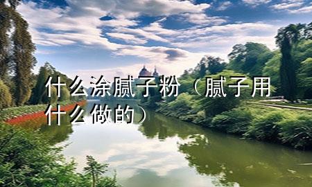 什么涂膩子粉（膩子用什么做的）