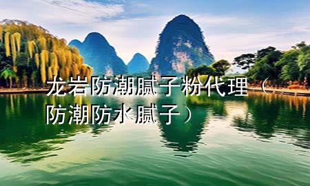 龍巖防潮膩子粉代理（防潮防水膩子）