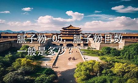 膩子粉-05，膩子粉目數(shù)一般是多少？
