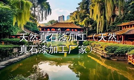 天然真石漆加工（天然真石漆加工廠(chǎng)家）