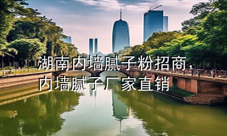 湖南內(nèi)墻膩?zhàn)臃壅猩?，?nèi)墻膩?zhàn)訌S(chǎng)家直銷(xiāo)