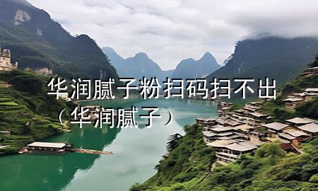 華潤膩子粉掃碼掃不出（華潤 膩子）