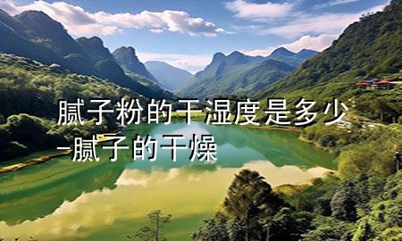 膩子粉的干濕度是多少-膩子的干燥