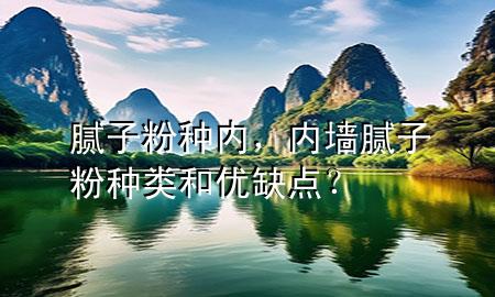 膩子粉種內(nèi)，內(nèi)墻膩子粉種類和優(yōu)缺點？