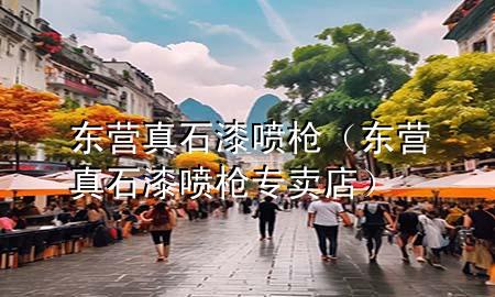 東營真石漆噴槍（東營真石漆噴槍專賣店）