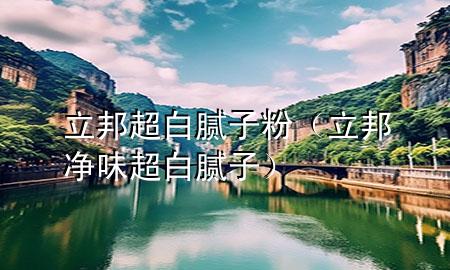 立邦 超白 膩子粉（立邦凈味超白膩子）