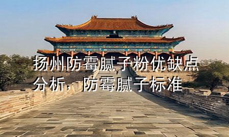 揚州防霉膩子粉優(yōu)缺點分析，防霉膩子標(biāo)準(zhǔn)