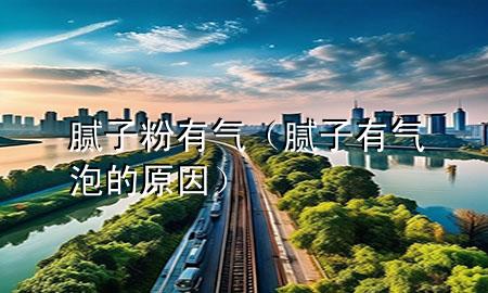 膩子粉有氣（膩子有氣泡的原因）