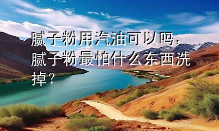 膩子粉用汽油可以嗎，膩子粉最怕什么東西洗掉？