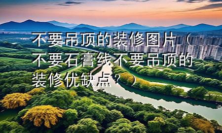 不要吊頂?shù)难b修圖片（不要石膏線不要吊頂?shù)难b修優(yōu)缺點？）