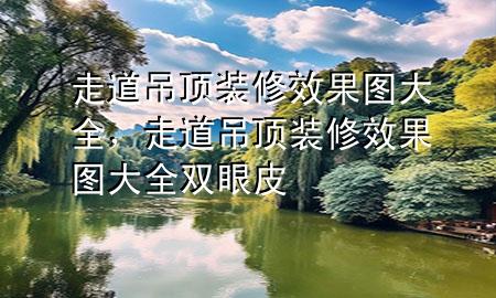走道吊頂裝修效果圖大全，走道吊頂裝修效果圖大全雙眼皮