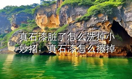 真石漆臟了怎么洗掉小妙招，真石漆怎么擦掉