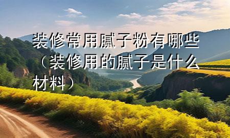 裝修常用膩子粉有哪些（裝修用的膩子是什么材料）